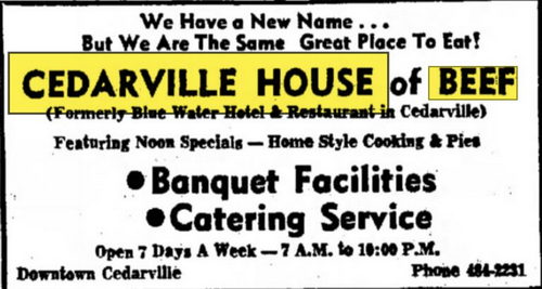 Blue Water Hotel (Les Cheneaux Coffee Roasters) - Aug 1972 Ad